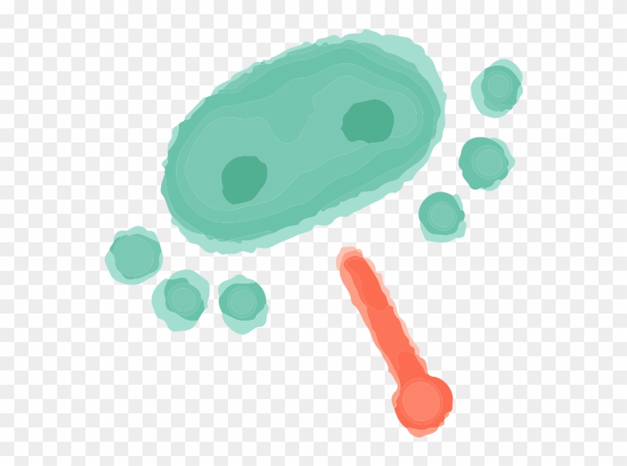 600 X 600 4 - Illustration Clipart