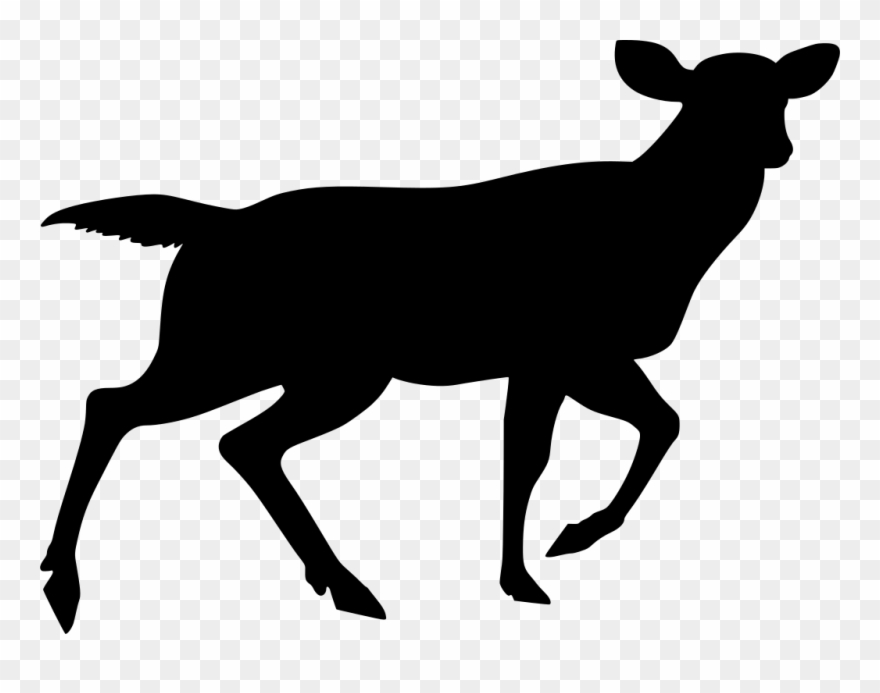 Info - Horse Silhouette No Background Clipart