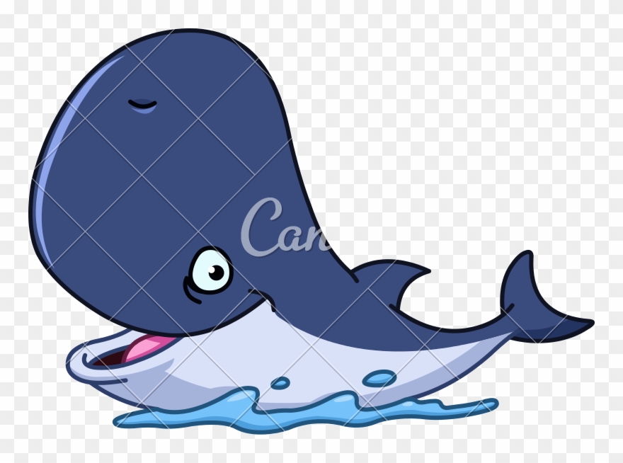 800 X 574 2 - Happy Whale Cartoon Clipart