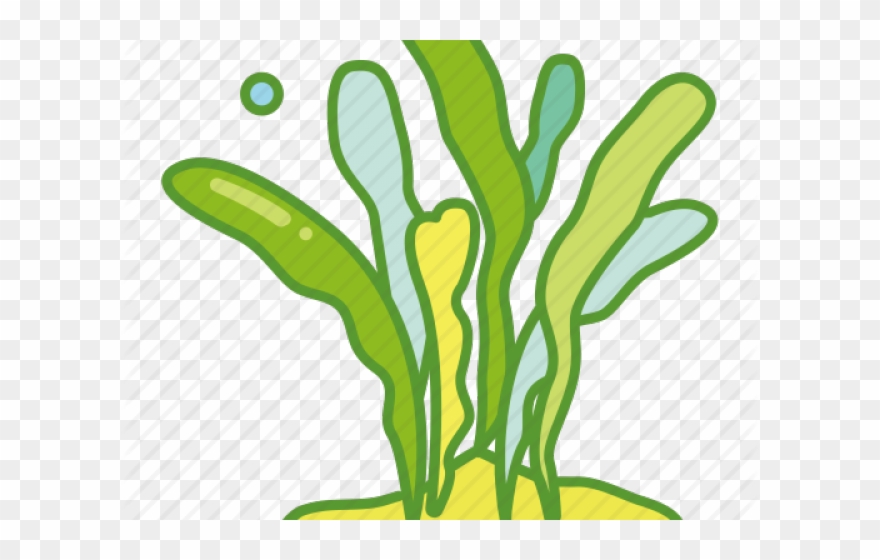 Seaweed Clipart Under Sea - Algas Dibujo Para Colorear - Png Download