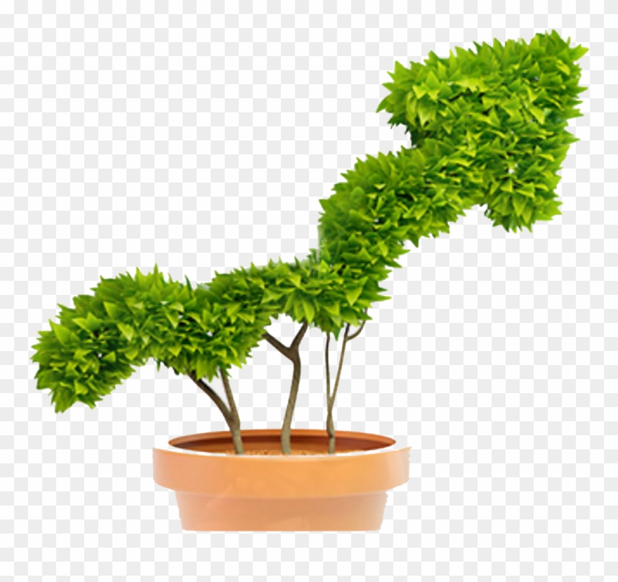 “the Private Investors Provide What Is Defined As Smart - Watering A Small Plant Clipart