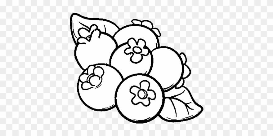Blueberry Clipart Drawn - Arandanos Para Pintar - Png Download
