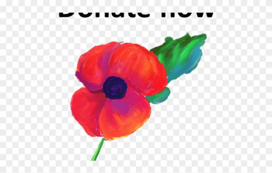 Poppy Clipart Poppy Appeal - Remembrance Day Poppy Painting - Png Download