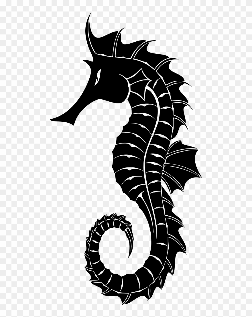 Info - Seahorse Black And White Png Clipart