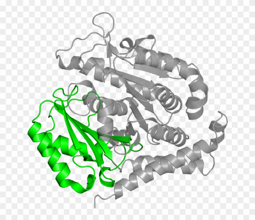 <div Class='caption-body'>2 Copies Of Cath Domain - Illustration Clipart