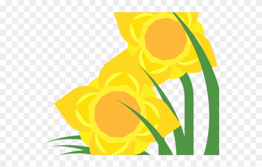 Daffodils Clipart Spring Bloom - Floribunda - Png Download