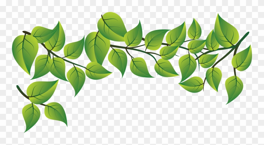 Leaf - Green Leaves Vector Png Clipart
