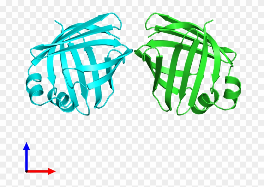 Experiment Sets - Illustration Clipart