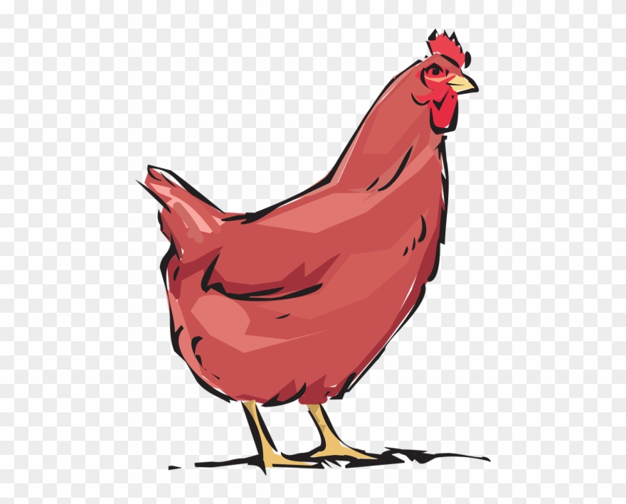 Red Hen,animal,farm,free Vector Graphics - Hen Chicken Clipart Png Transparent Png