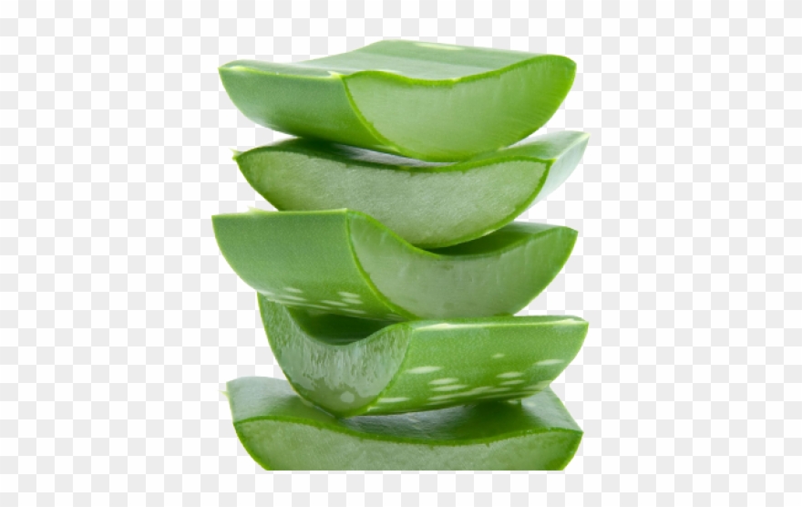 Aloe Clipart Transparent Background - Whamisa Organic Flowers Toner Refresh - Png Download