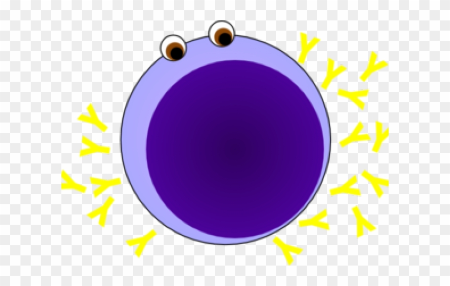 Plasma Clipart Nucleolus - Circle - Png Download