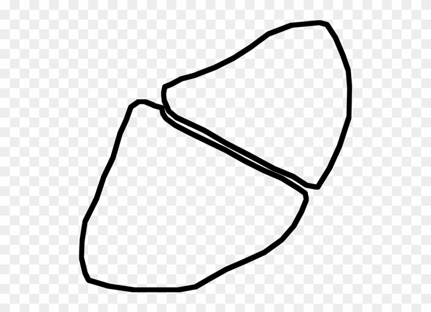 Gland Cells - Line Art Clipart