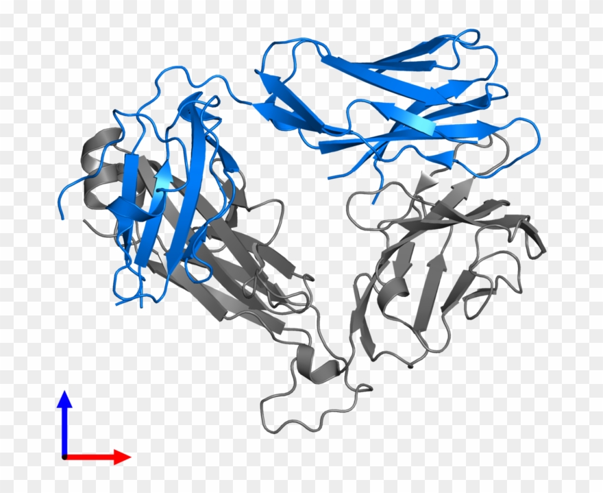<div Class='caption-body'>pdb Entry 4ww1 Contains 1 - Illustration Clipart