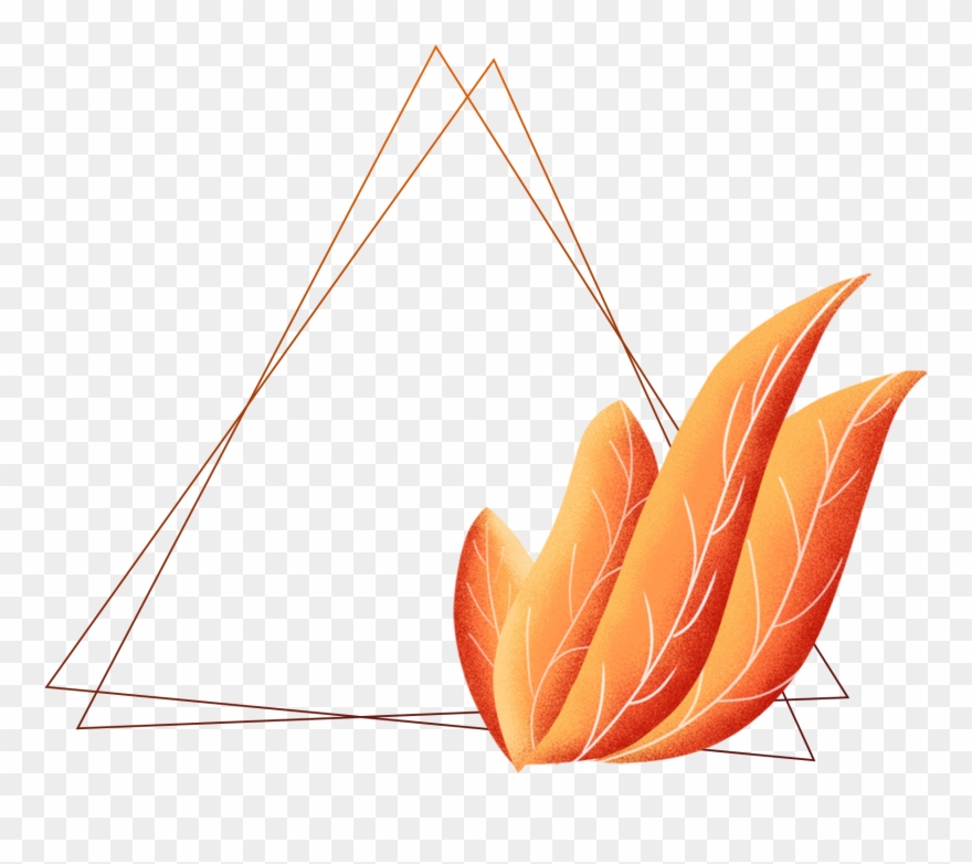 Hand Drawn Plants Borders Coral Orange Leaves Png And - Coral Clipart