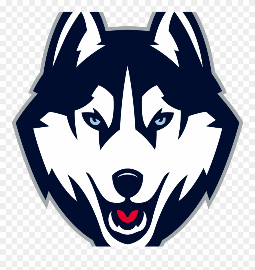 Connecticut Huskies - Uconn Husky Logo Clipart