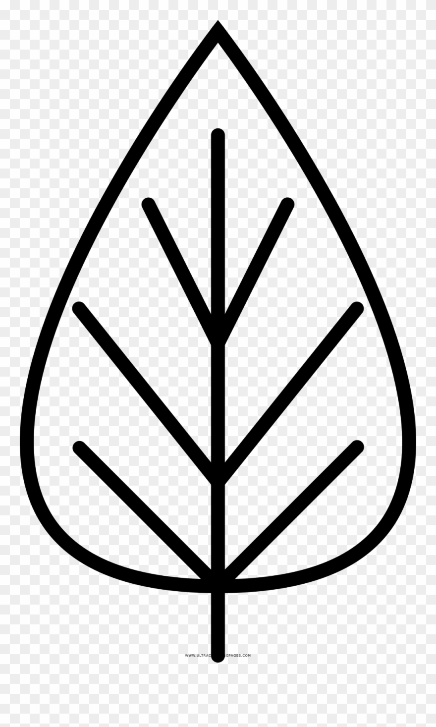 Leaf Coloring Page - Circle Clipart