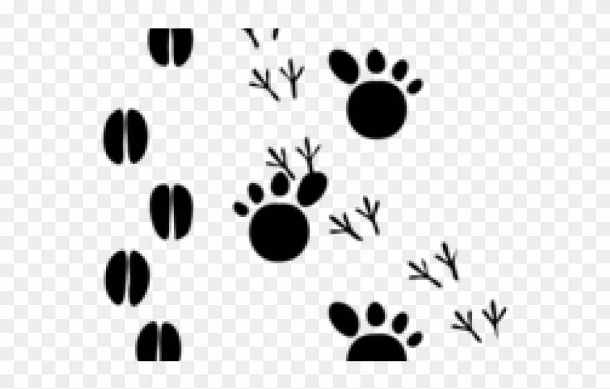 Tiger Print Clipart Footprint - Animal Foot Print Clip Art - Png Download