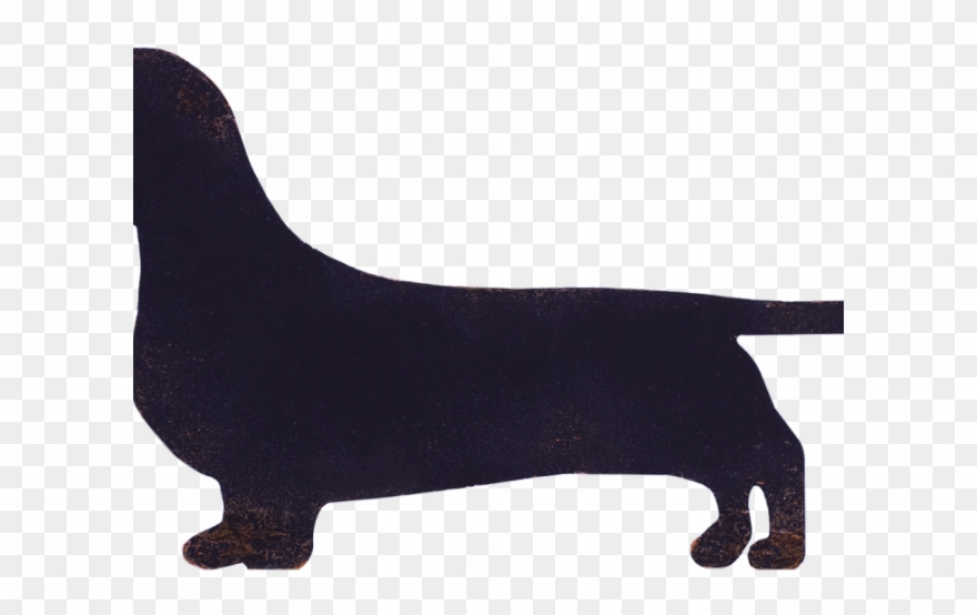 Dachshund Clipart Miniature Dachshund - Chicken - Png Download