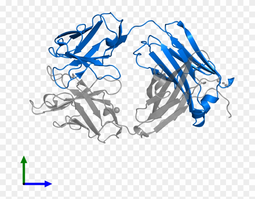 <div Class='caption-body'>pdb Entry 3l1o Contains 1 - Illustration Clipart