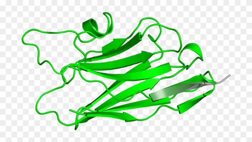 <div Class='caption-body'>1 Copy Of Scop Domain < - Illustration Clipart