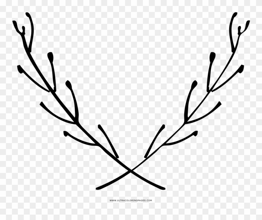 Aromatic Herbs Coloring Page - Floral Design Clipart