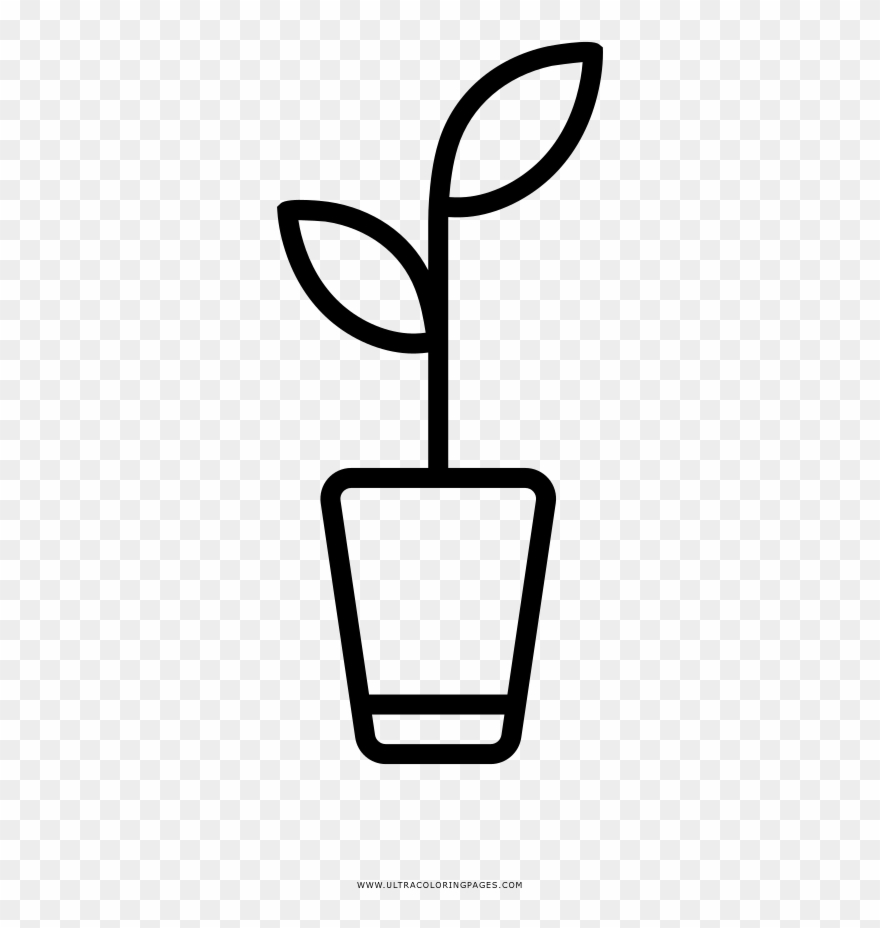 Herbs Coloring Page - Line Art Clipart