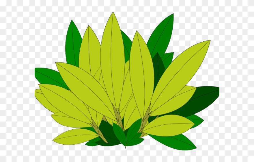 Foliage Clipart Greenery - Blätter Clipart - Png Download