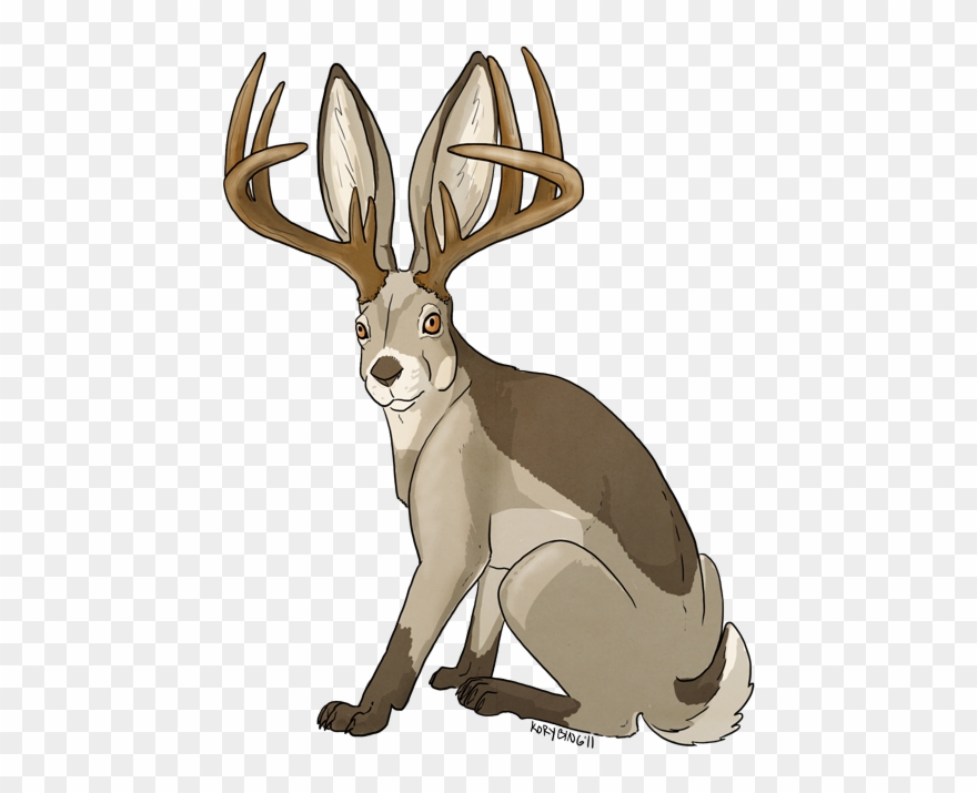 Jackalopes - Jackalope Transparent Background Clipart