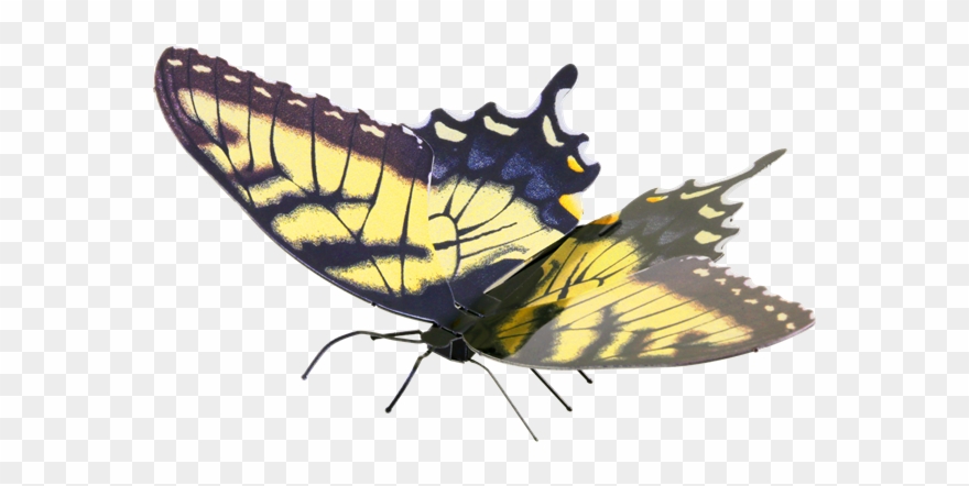 620 X 619 8 - Metal Earth Butterfly Clipart