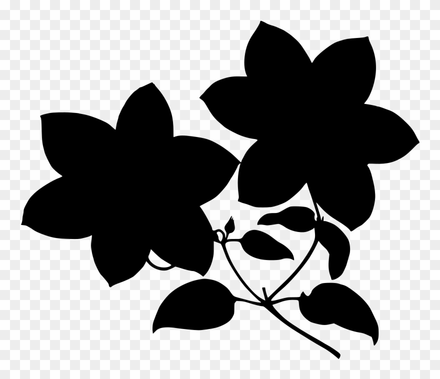 Info - Clip Art - Png Download