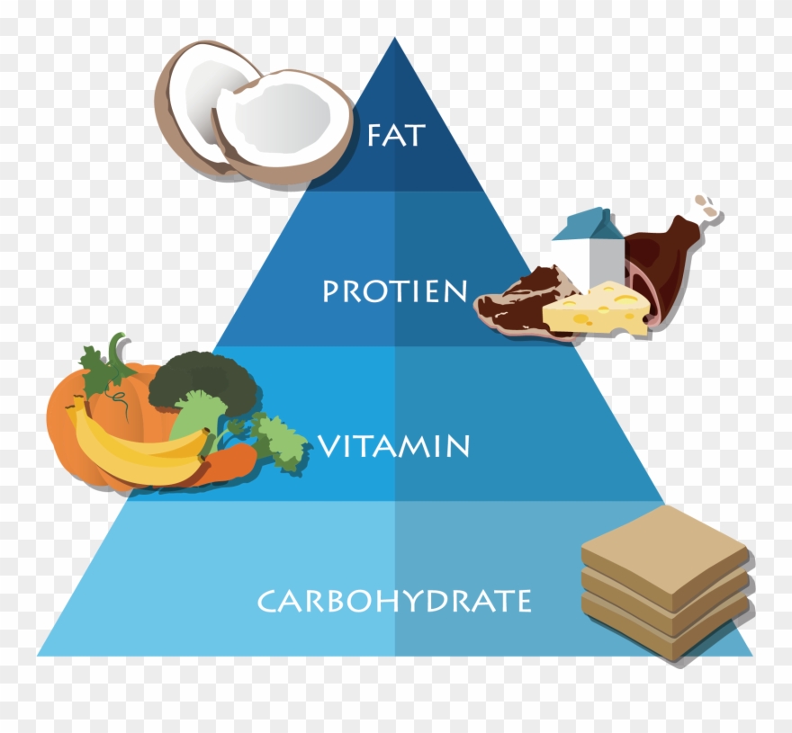 All Foods Are Planned Based On Your Current Condition - Харчова Піраміда Вектор Png Clipart