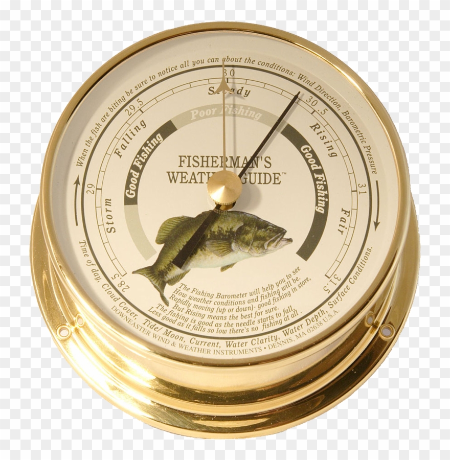 Cape Cod Wind U0026 Weather And Downeaster Wind U0026 - Largemouth Bass Clipart