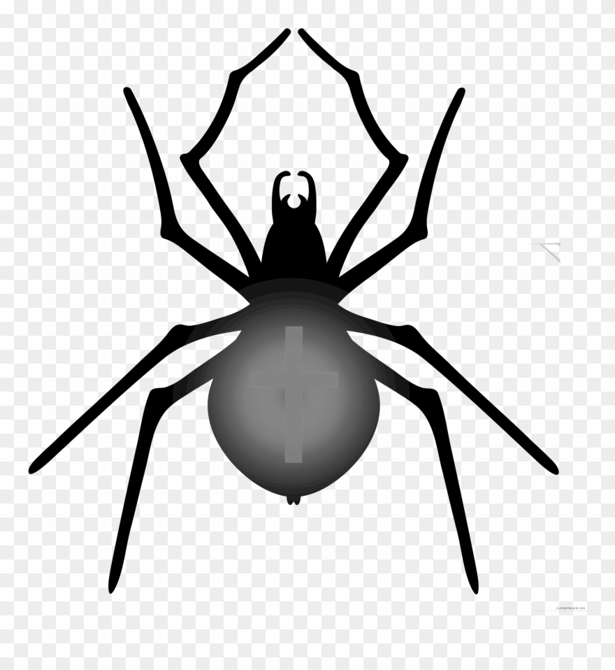 Halloween Halloween Spiders To Makehalloween Imageshalloween - Halloween Spider Png Clipart