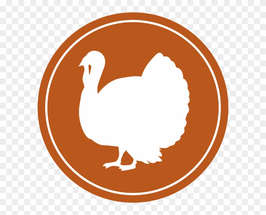 Turkey - Duck Clipart