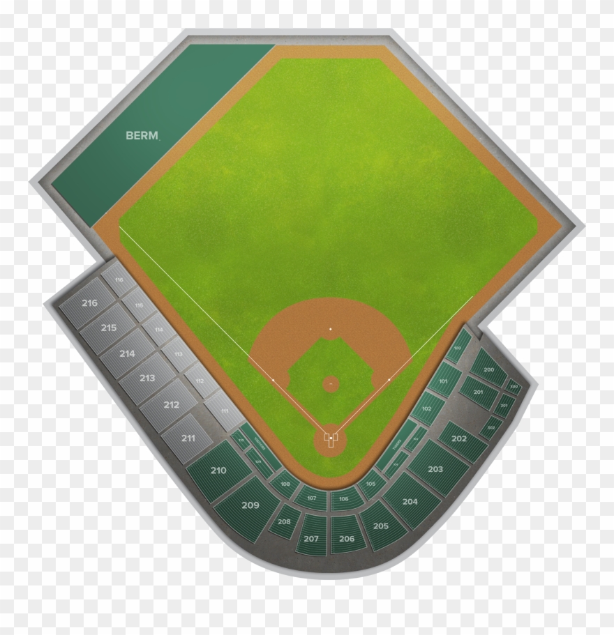 Spring Training At Tigers Clipart