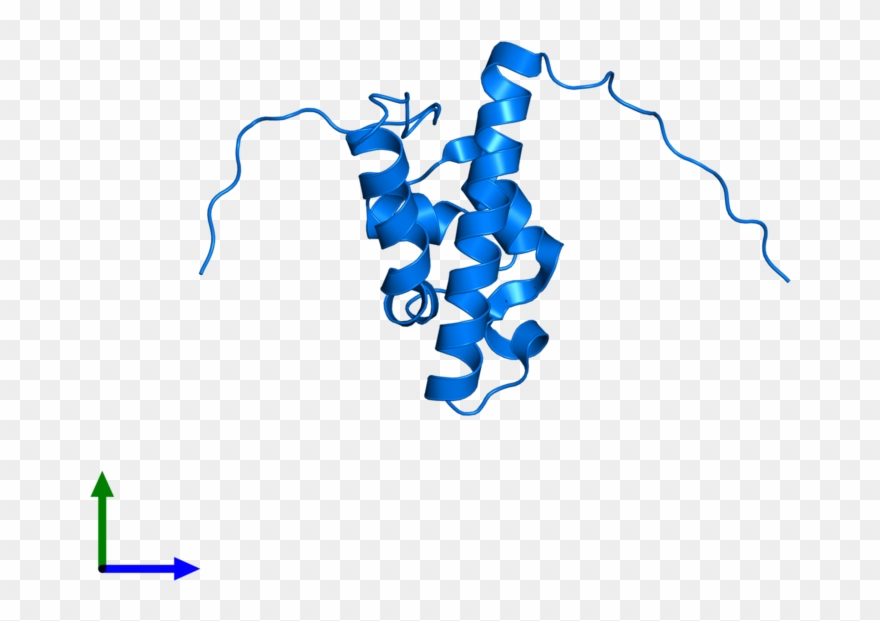 <div Class='caption-body'>pdb Entry 2dgz Contains 1 - Illustration Clipart