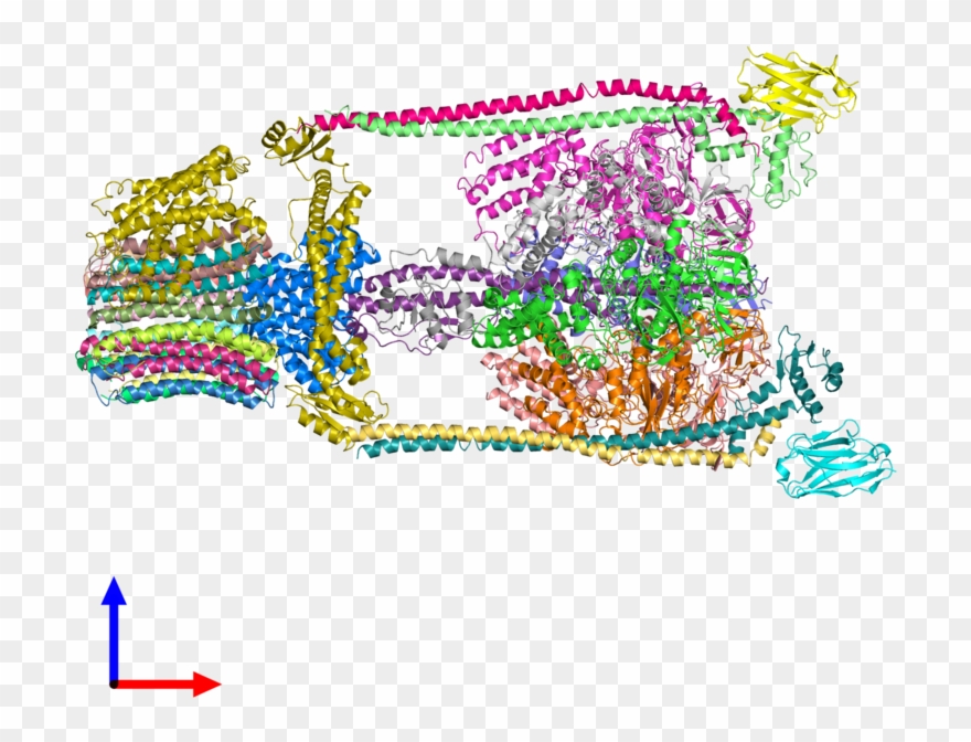 Pdb 5tsj Coloured By Chain And Viewed From The Front - Illustration Clipart