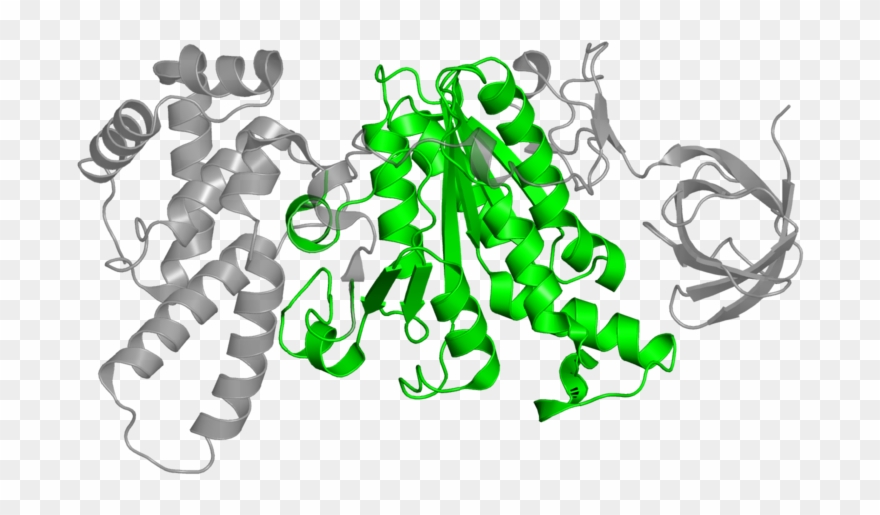 <div Class='caption-body'>2 Copies Of Pfam Domain - Illustration Clipart