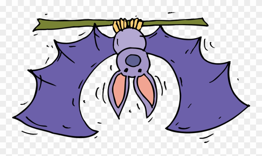 Bat - Cartoon Clipart