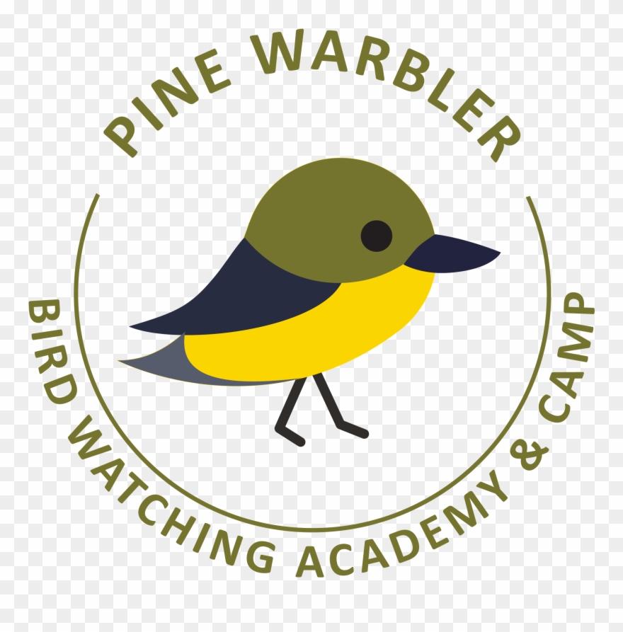 Pine Warbler - Golden-winged Warbler Clipart