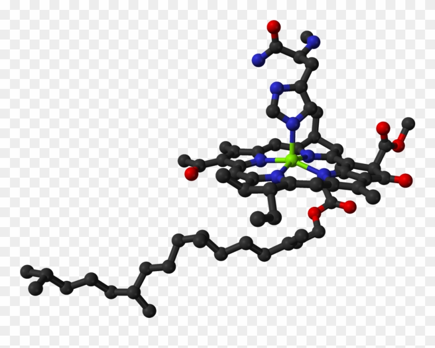 Chlorophyll In Protein 3d Balls - Chlorophyll Molecule Ball Model Clipart