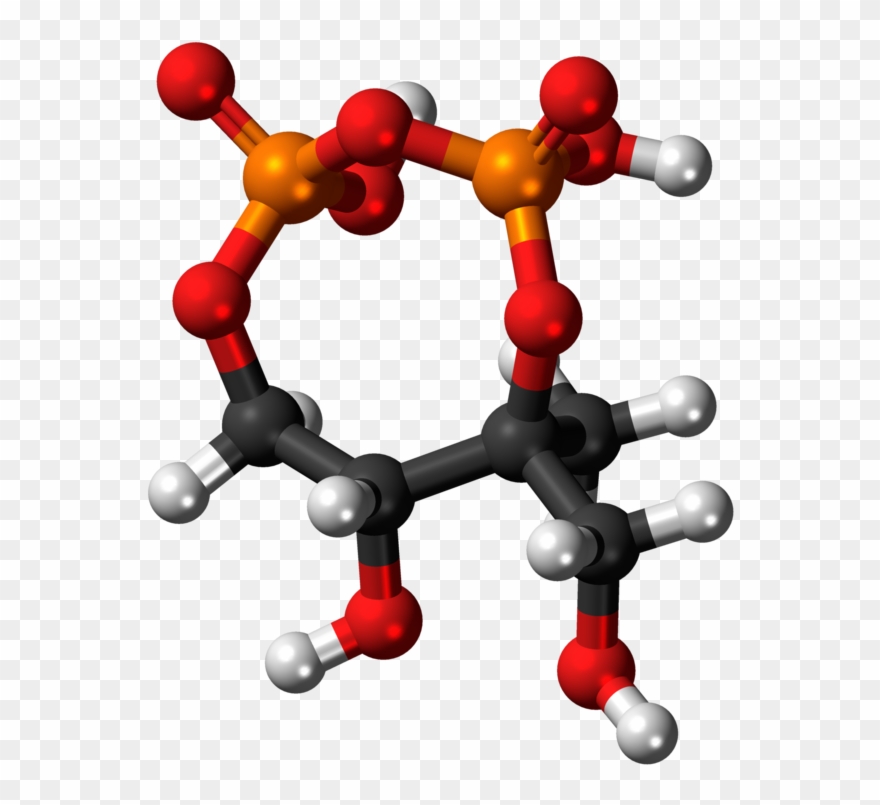 From Wikipedia, The Free Encyclopedia - Molecule Clipart