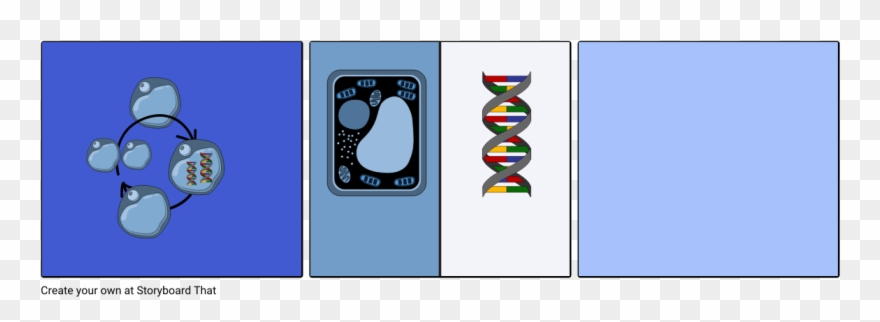 Dna And Cell Cycle By Victor And Abel Clipart