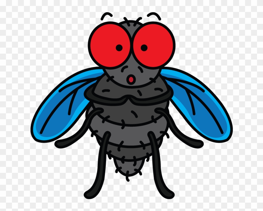 720 X 1280 3 - Drawings Of A Fly Clipart