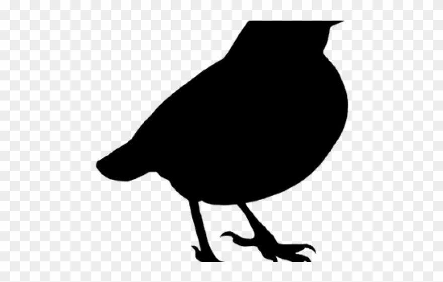 Songbird Clipart American - Small Black Bird Png Transparent Png