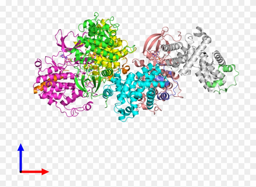 Deposited Chain, Side View - Illustration Clipart