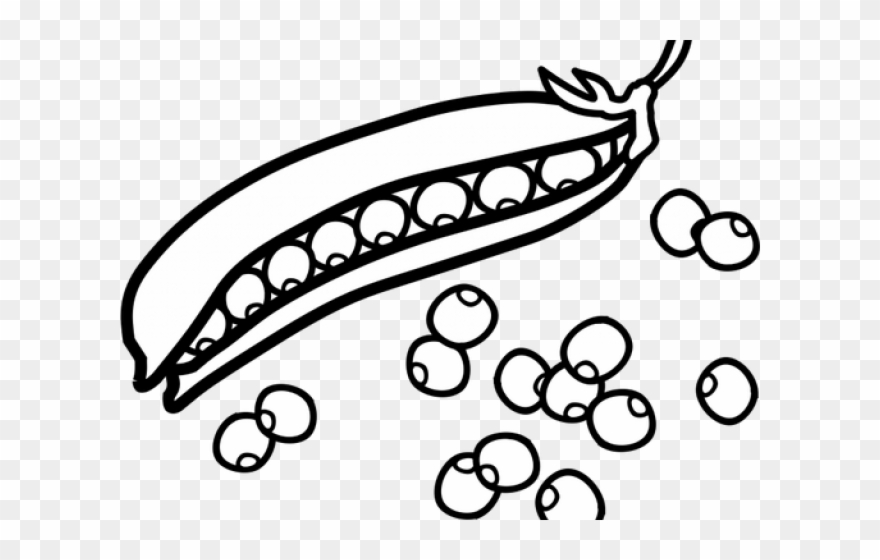 Pea Clipart Outline - Peas Black And White Clip Art - Png Download