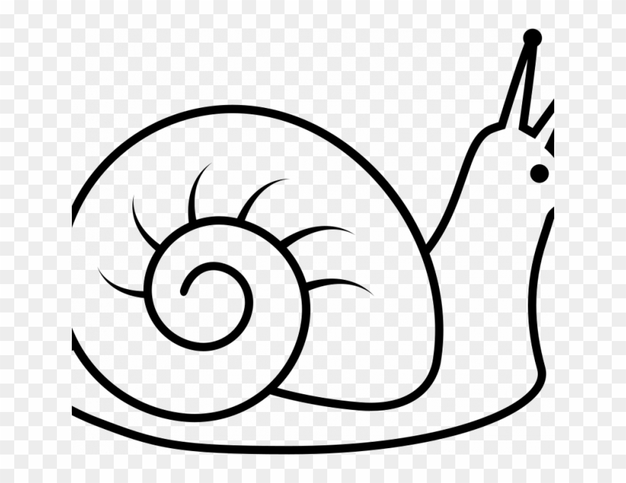 Drawing Of A Snail Snail Drawing At Getdrawings Free - Snail Drawing Clipart