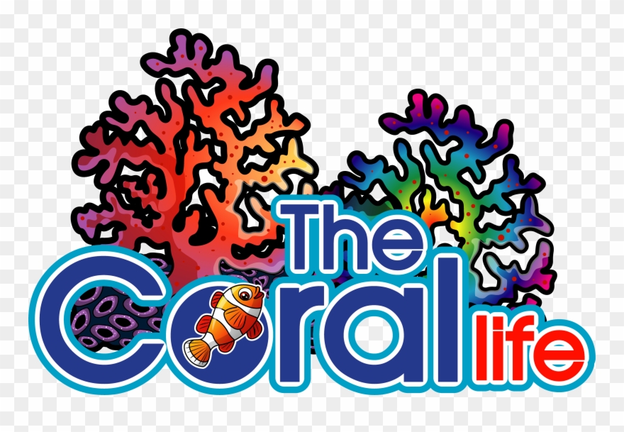 Mpro-90 - Aquaticlife Clipart