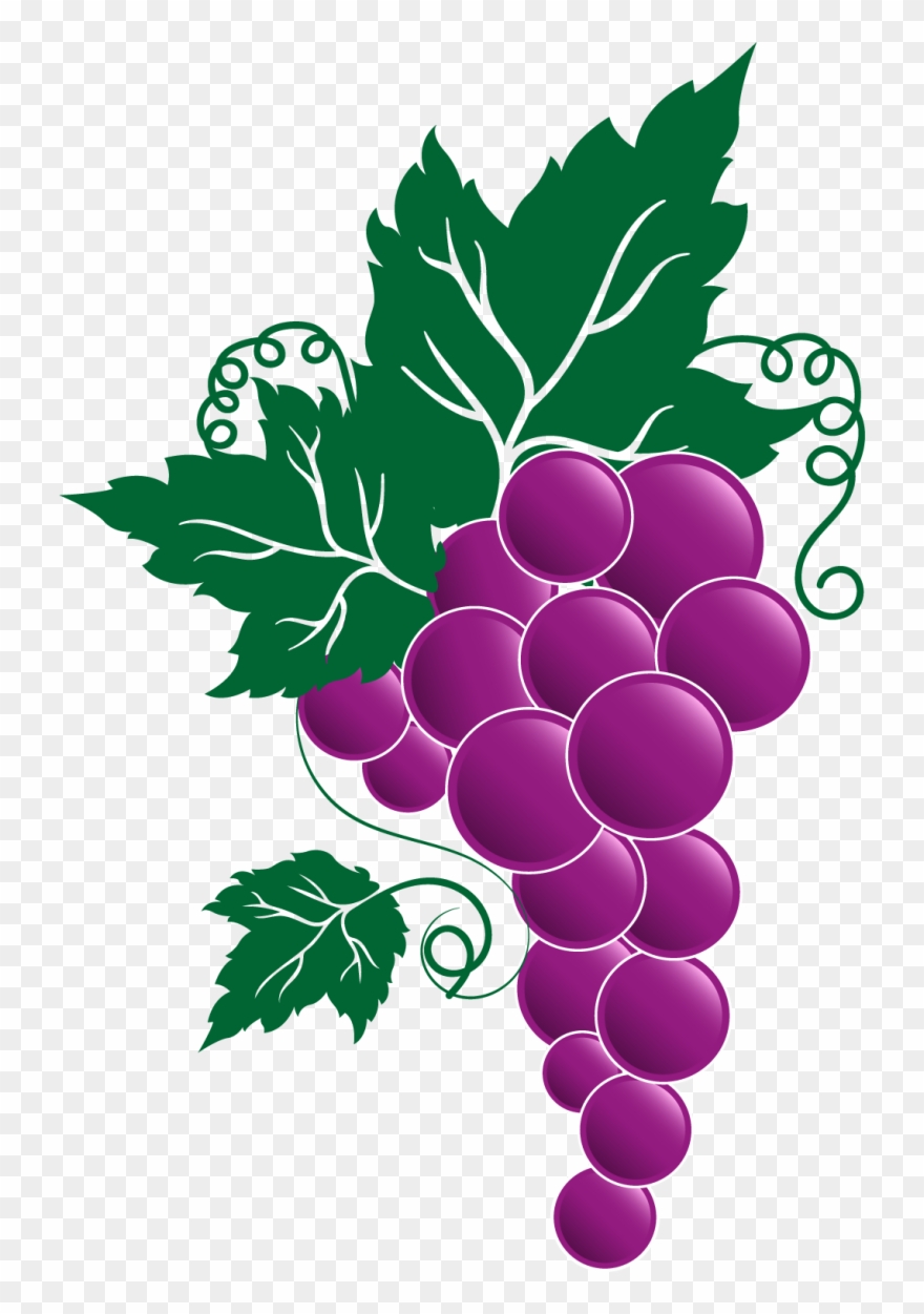 Transparent Grape Vines - Festa Dell Uva Broni Clipart